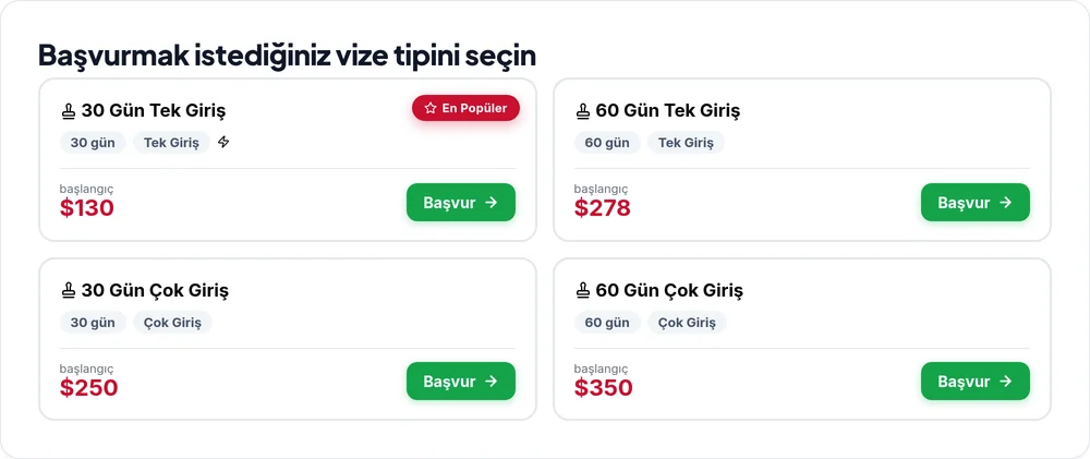 Adım 1: Vize tipinizi seçin