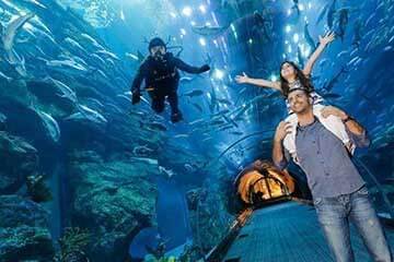Dubai Aquarium & Underwater